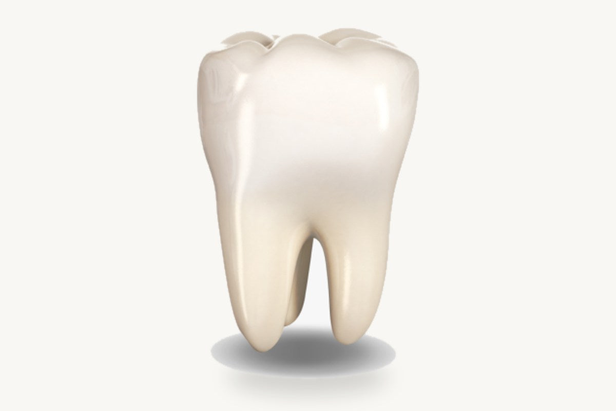 Tooth illustration for Heart Tone Botanicals veneer education article