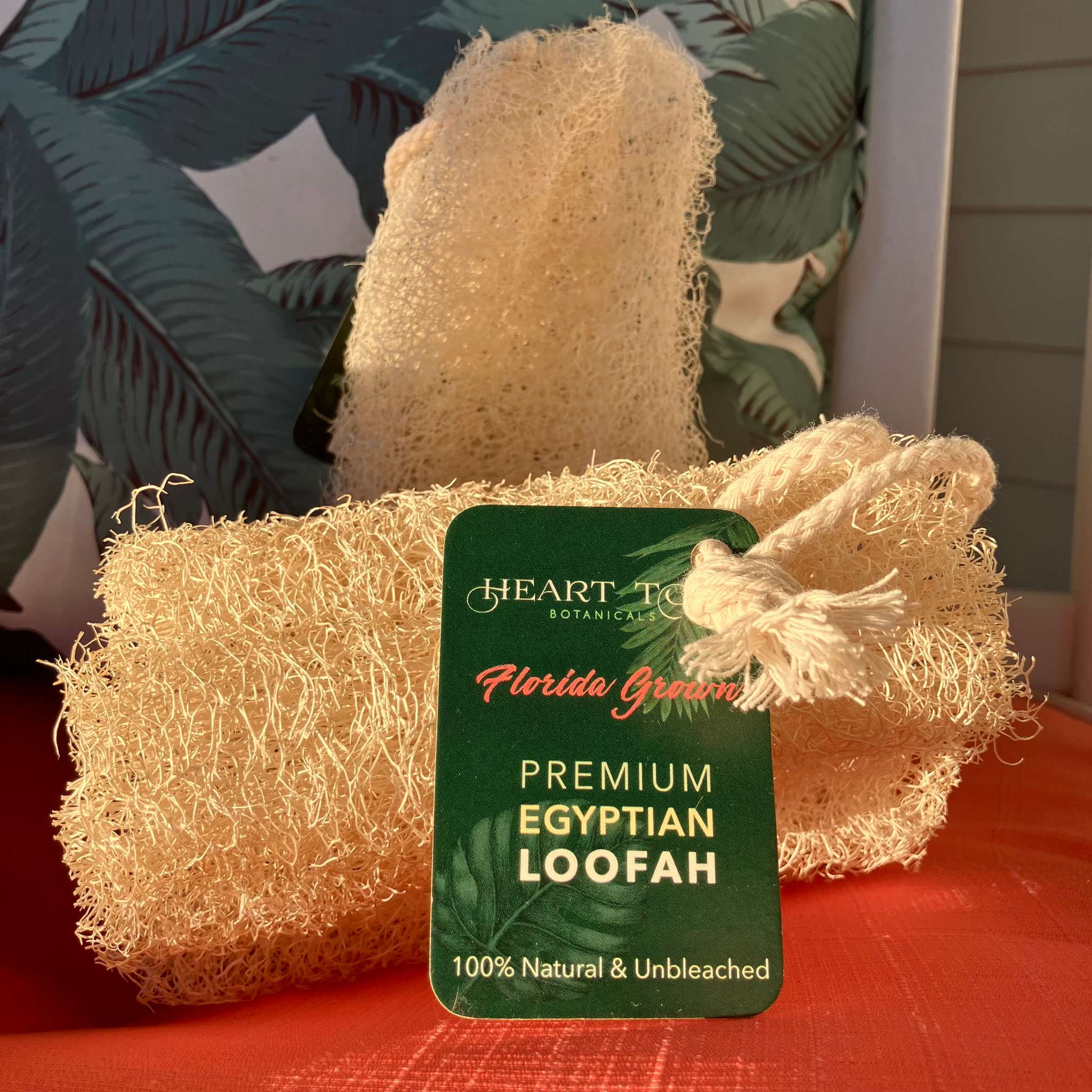 Premium Egyptian Loofah - Highest Quality Dense Fibers