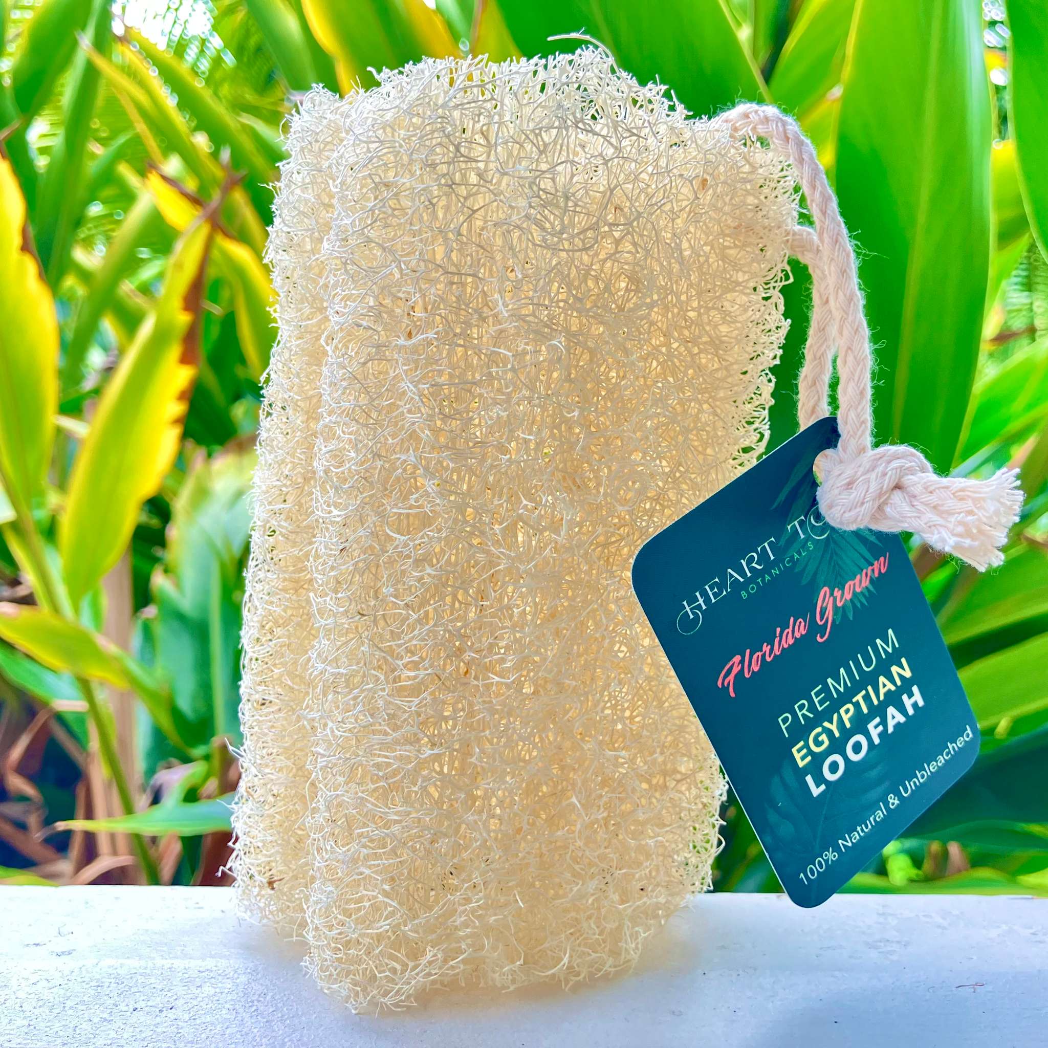 Natural Egyptian Loofah Fibers - Chemical Free
