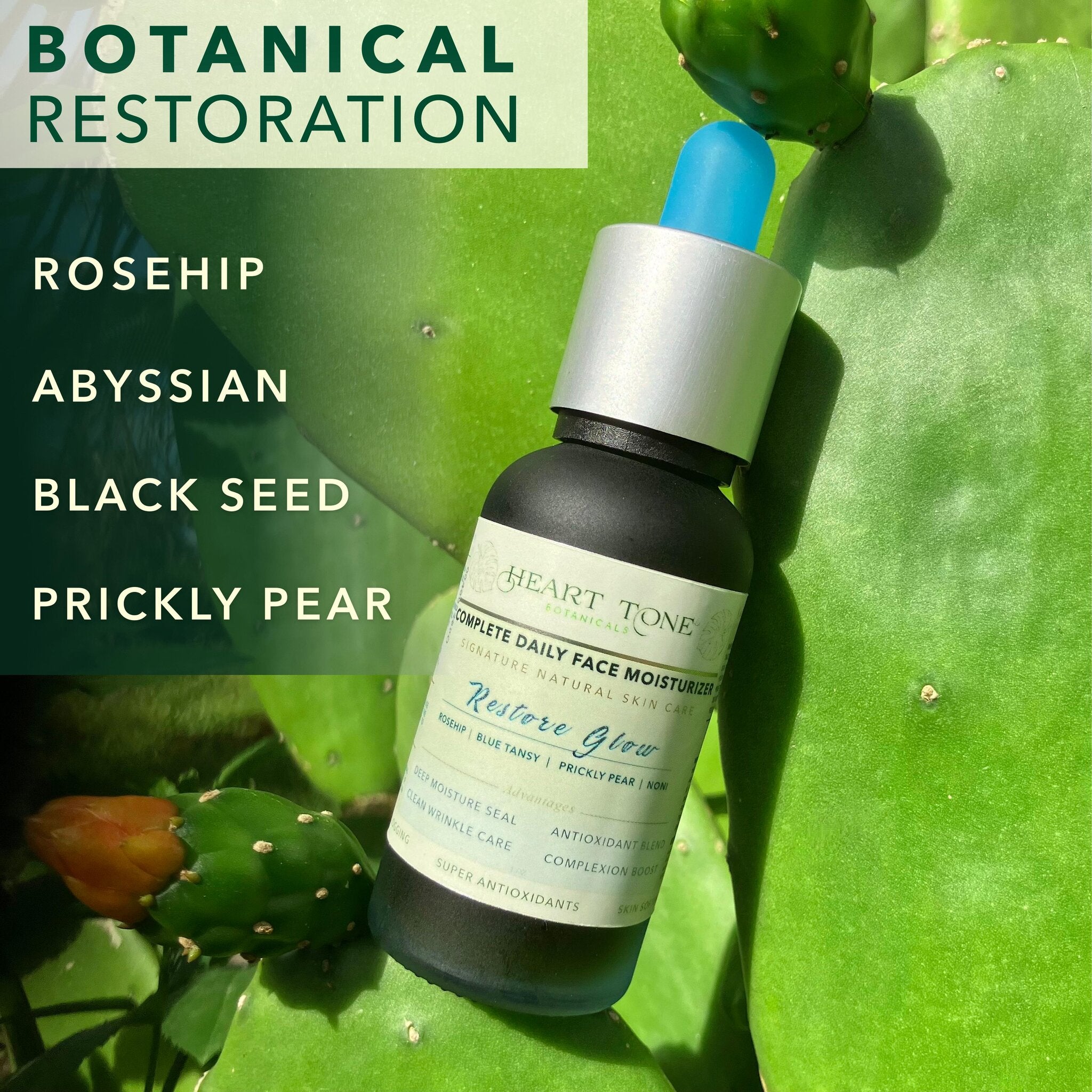 Restore With Botanics — Rosehip Prickly Pear Abyssinian Black Seed Oils