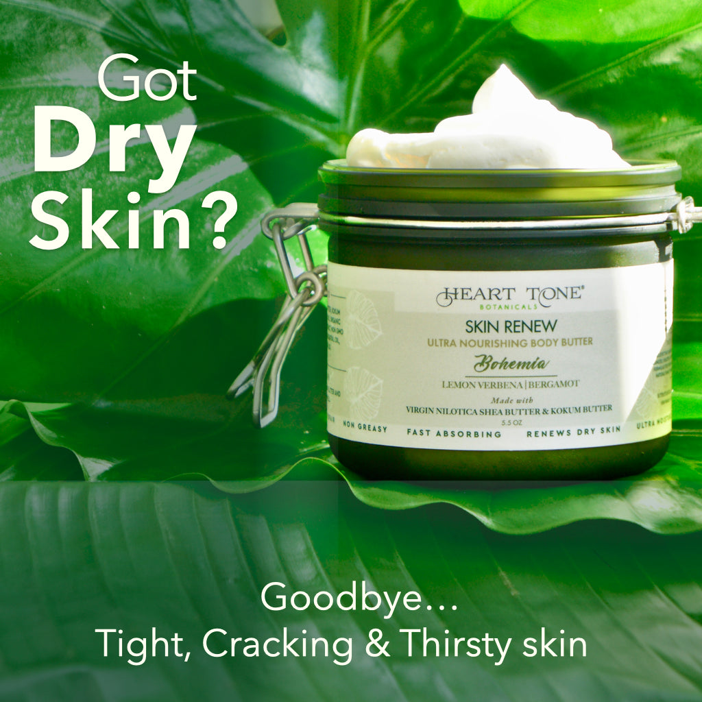 5 Pack Botanical Renew Body Butter