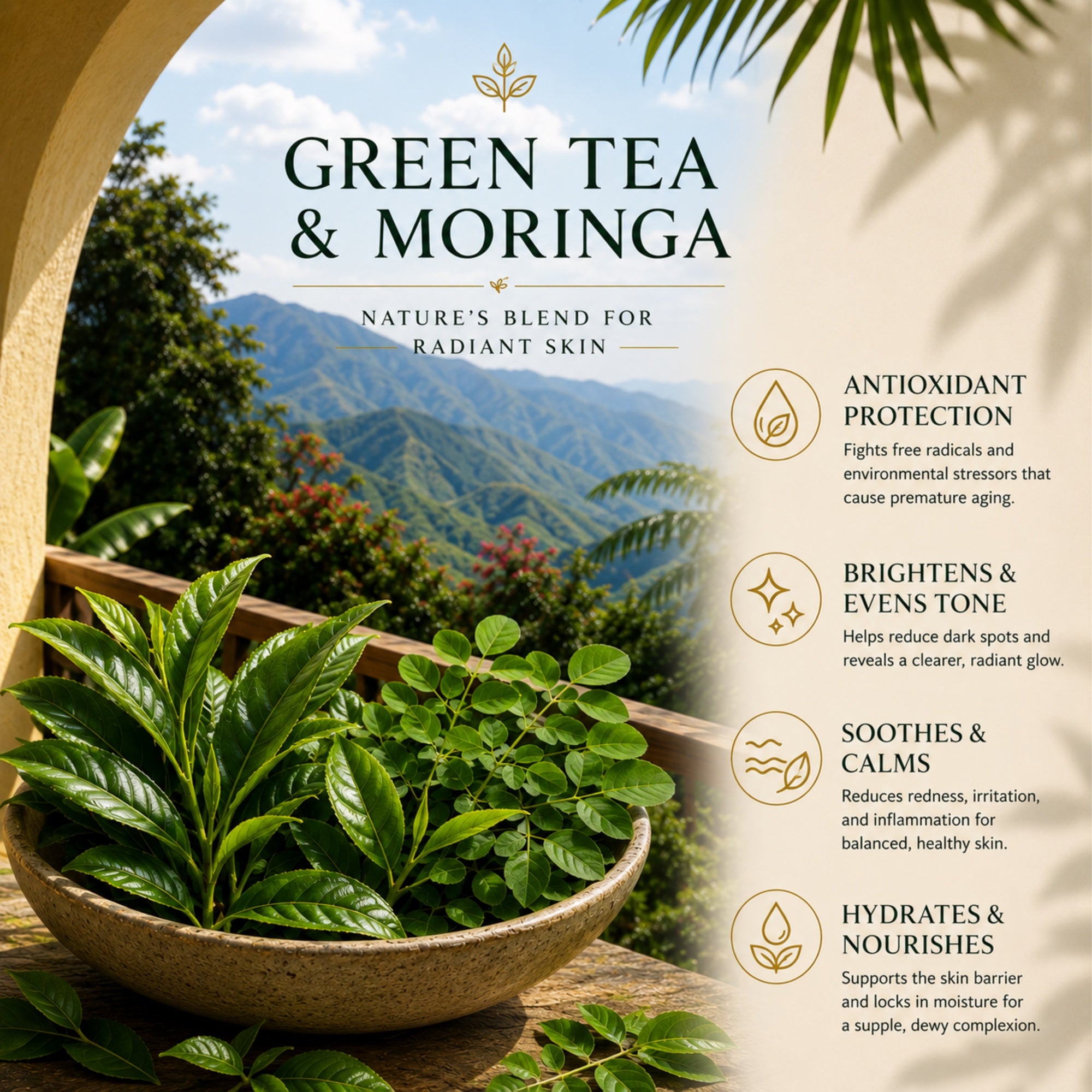 Antioxidant Botanicals — Organic Green Tea Oil & Moringa Oil for Skin