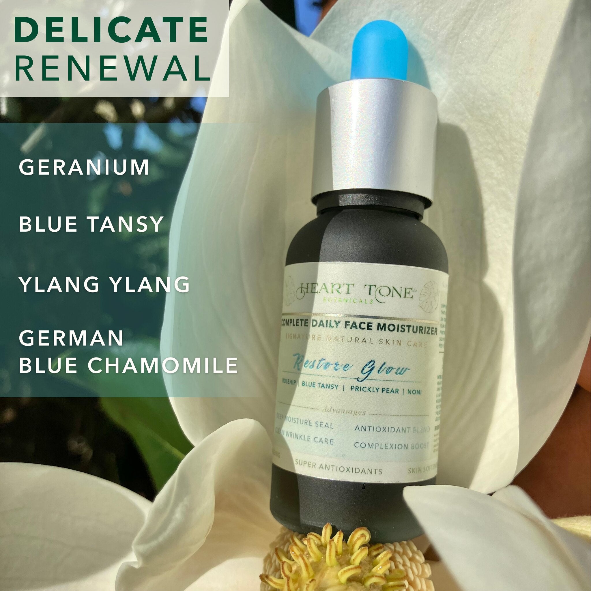 Delicate Beauty — Floral Oils for Skin Renewal — Heart Tone Botanicals